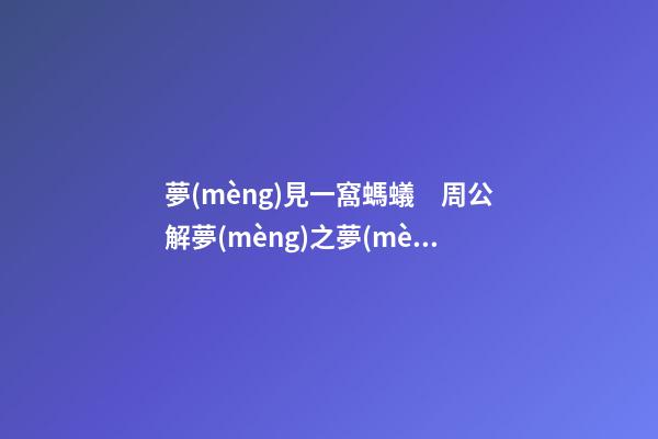 夢(mèng)見一窩螞蟻　周公解夢(mèng)之夢(mèng)到一窩螞蟻